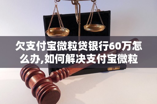 欠支付宝微粒贷银行60万怎么办,如何解决支付宝微粒贷银行欠款问题