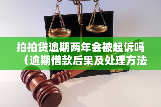 拍拍贷逾期两年会被起诉吗（逾期借款后果及处理方法）