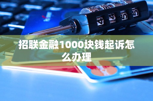 招联金融1000块钱起诉怎么办理