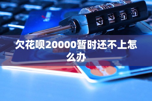 欠花呗20000暂时还不上怎么办