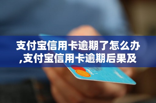 支付宝信用卡逾期了怎么办,支付宝信用卡逾期后果及解决方法