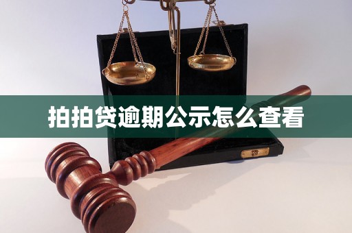 拍拍贷逾期公示怎么查看