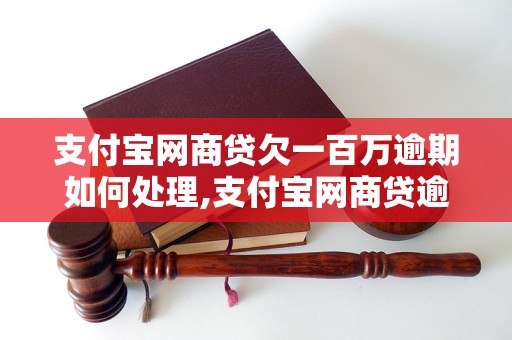 支付宝网商贷欠一百万逾期如何处理,支付宝网商贷逾期还款解决方案