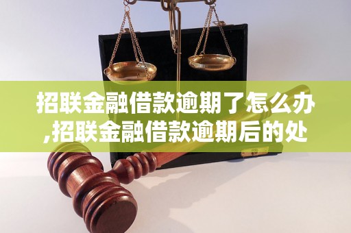 招联金融借款逾期了怎么办,招联金融借款逾期后的处理方法