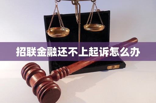 招联金融还不上起诉怎么办