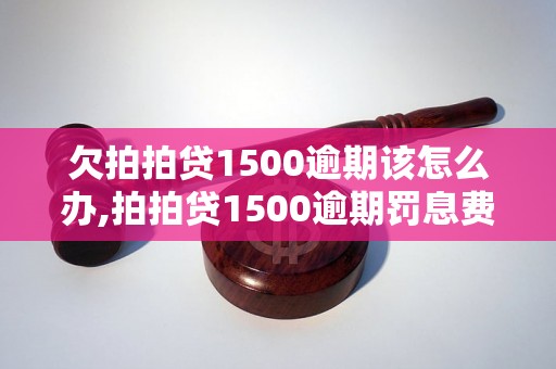 欠拍拍贷1500逾期该怎么办,拍拍贷1500逾期罚息费用