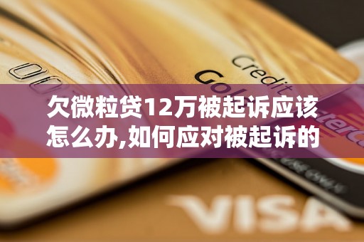 欠微粒贷12万被起诉应该怎么办,如何应对被起诉的微粒贷案件