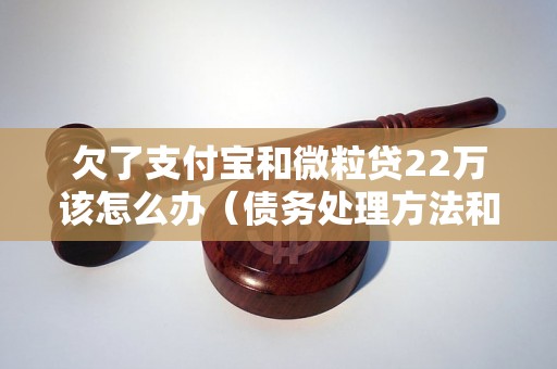 欠了支付宝和微粒贷22万该怎么办（债务处理方法和建议）