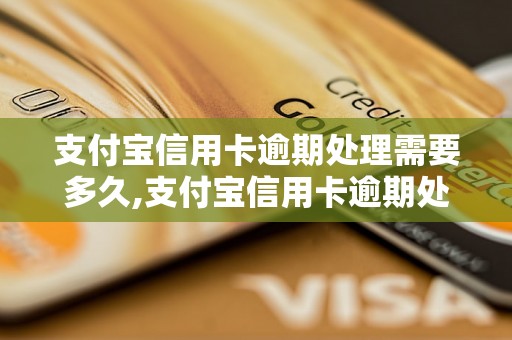 支付宝信用卡逾期处理需要多久,支付宝信用卡逾期处理时间要多久