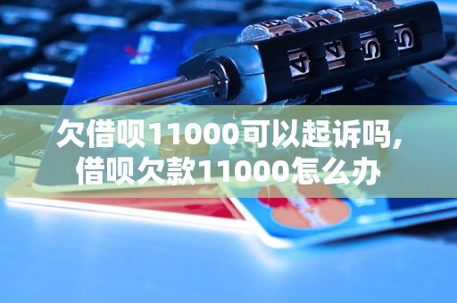 欠借呗11000可以起诉吗,借呗欠款11000怎么办