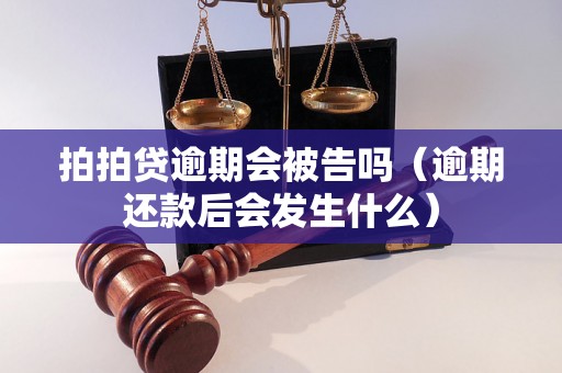 拍拍贷逾期会被告吗（逾期还款后会发生什么）