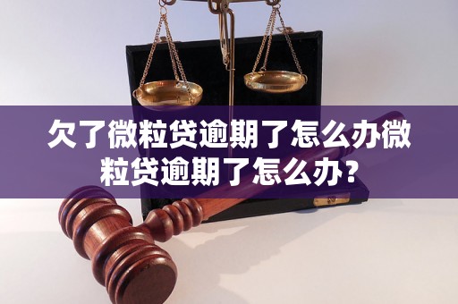 欠了微粒贷逾期了怎么办微粒贷逾期了怎么办？