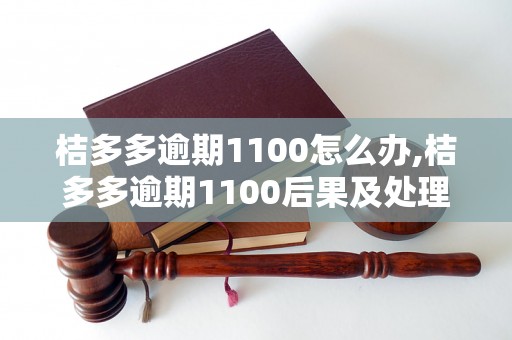 桔多多逾期1100怎么办,桔多多逾期1100后果及处理方法