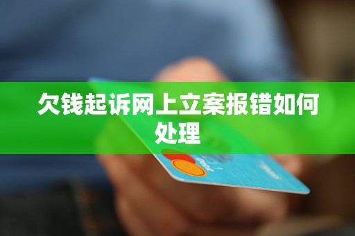 欠钱起诉网上立案报错如何处理