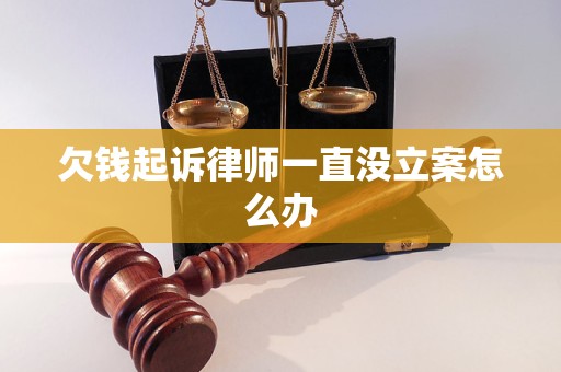 欠钱起诉律师一直没立案怎么办