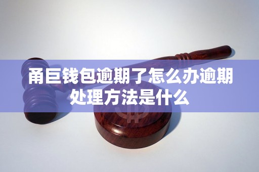 甬巨钱包逾期了怎么办逾期处理方法是什么