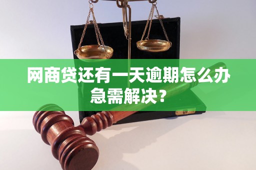 网商贷还有一天逾期怎么办急需解决？