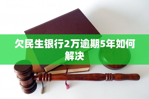 欠民生银行2万逾期5年如何解决