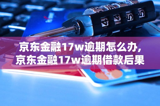 京东金融17w逾期怎么办,京东金融17w逾期借款后果