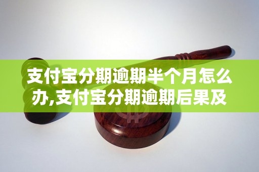 支付宝分期逾期半个月怎么办,支付宝分期逾期后果及处理方法