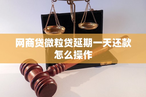 网商贷微粒贷延期一天还款怎么操作