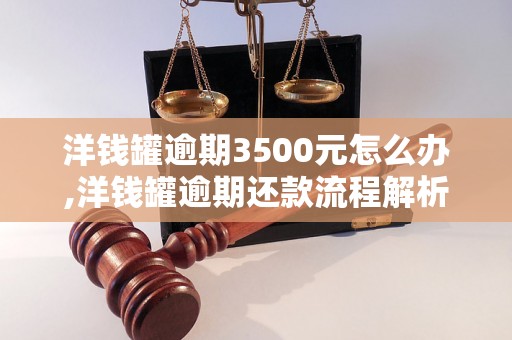 洋钱罐逾期3500元怎么办,洋钱罐逾期还款流程解析