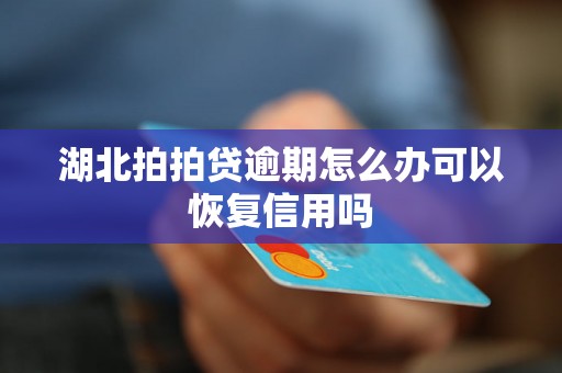 湖北拍拍贷逾期怎么办可以恢复信用吗