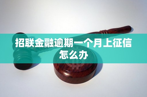 招联金融逾期一个月上征信怎么办