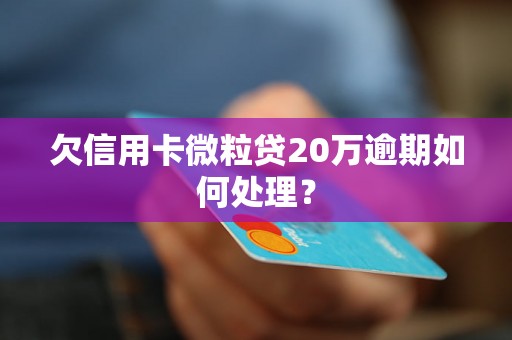 欠信用卡微粒贷20万逾期如何处理？