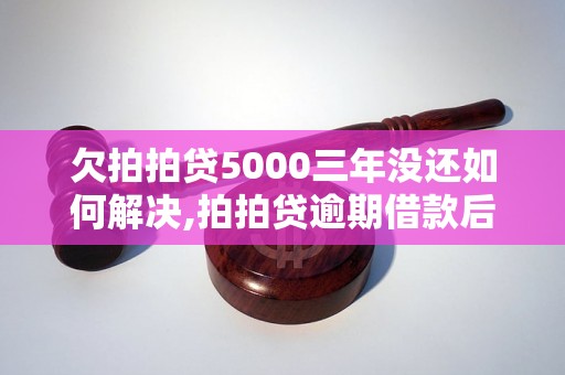 欠拍拍贷5000三年没还如何解决,拍拍贷逾期借款后果及处理方法