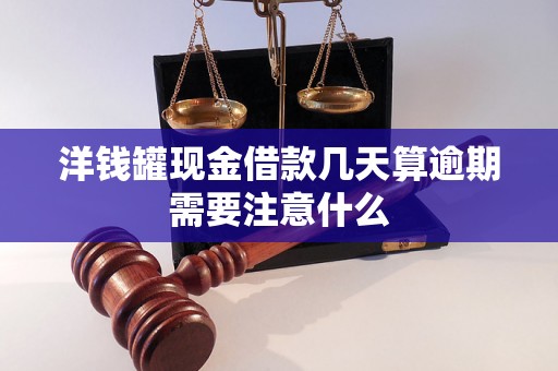 洋钱罐现金借款几天算逾期需要注意什么