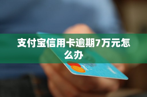 支付宝信用卡逾期7万元怎么办