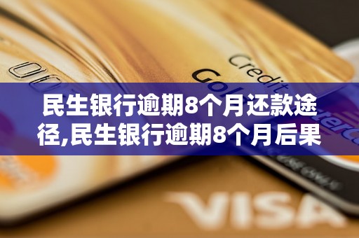 民生银行逾期8个月还款途径,民生银行逾期8个月后果及处理方式