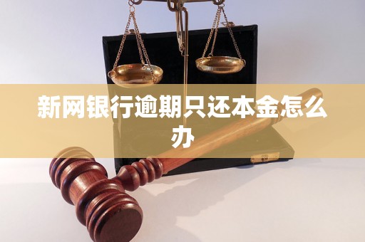 新网银行逾期只还本金怎么办