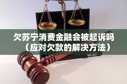 欠苏宁消费金融会被起诉吗（应对欠款的解决方法）