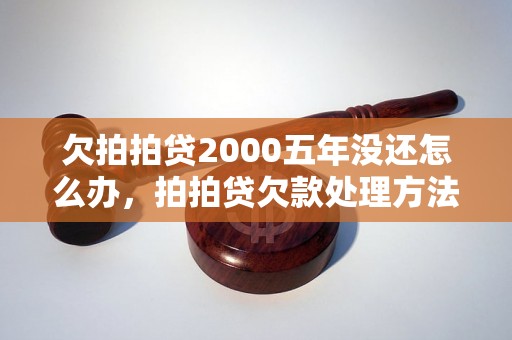 欠拍拍贷2000五年没还怎么办，拍拍贷欠款处理方法