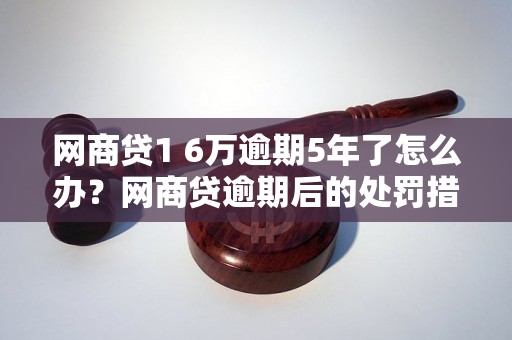 网商贷1 6万逾期5年了怎么办？网商贷逾期后的处罚措施有哪些？