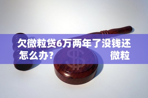 欠微粒贷6万两年了没钱还怎么办？                    微粒贷6万两年了还不上怎么办？                    欠微粒贷6万两年了还没还清怎么办？