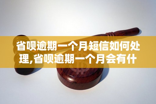 省呗逾期一个月短信如何处理,省呗逾期一个月会有什么后果