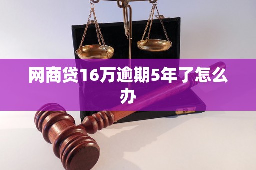 网商贷16万逾期5年了怎么办