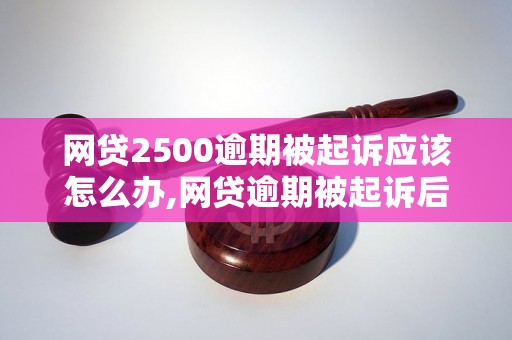 网贷2500逾期被起诉应该怎么办,网贷逾期被起诉后的处理方法