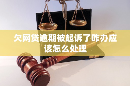 欠网贷逾期被起诉了咋办应该怎么处理