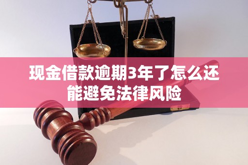 现金借款逾期3年了怎么还能避免法律风险