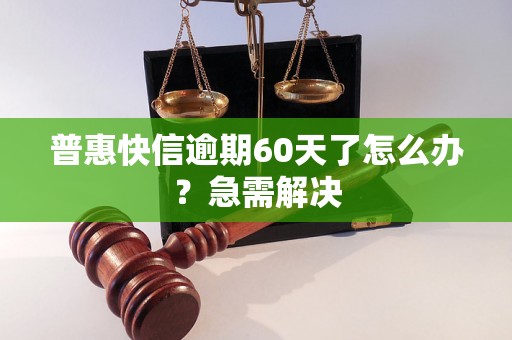 普惠快信逾期60天了怎么办？急需解决