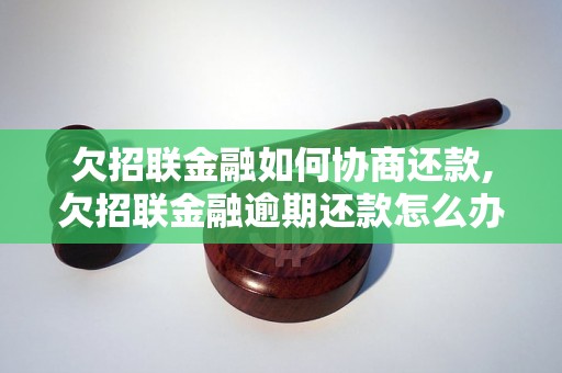 欠招联金融如何协商还款,欠招联金融逾期还款怎么办