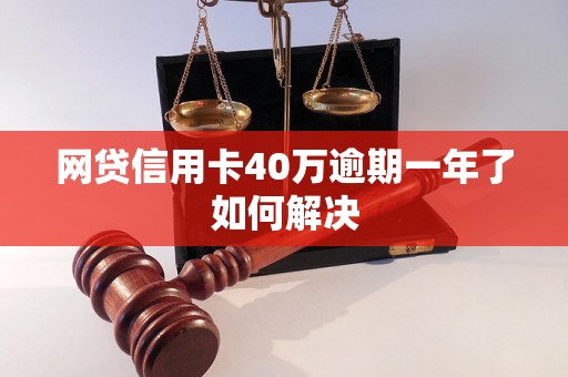 网贷信用卡40万逾期一年了如何解决