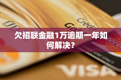 欠招联金融1万逾期一年如何解决？