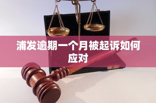 浦发逾期一个月被起诉如何应对