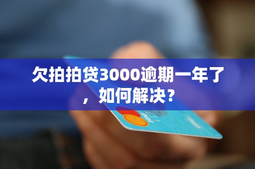 欠拍拍贷3000逾期一年了，如何解决？