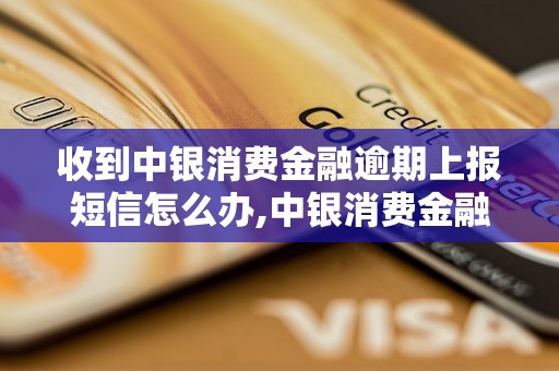 收到中银消费金融逾期上报短信怎么办,中银消费金融逾期上报短信处理方法